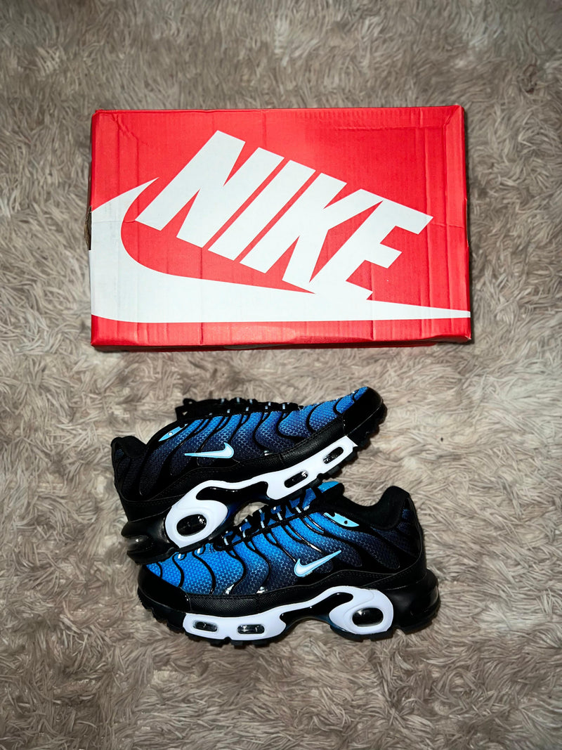 Nike Air Max Plus "Aquarius Black"