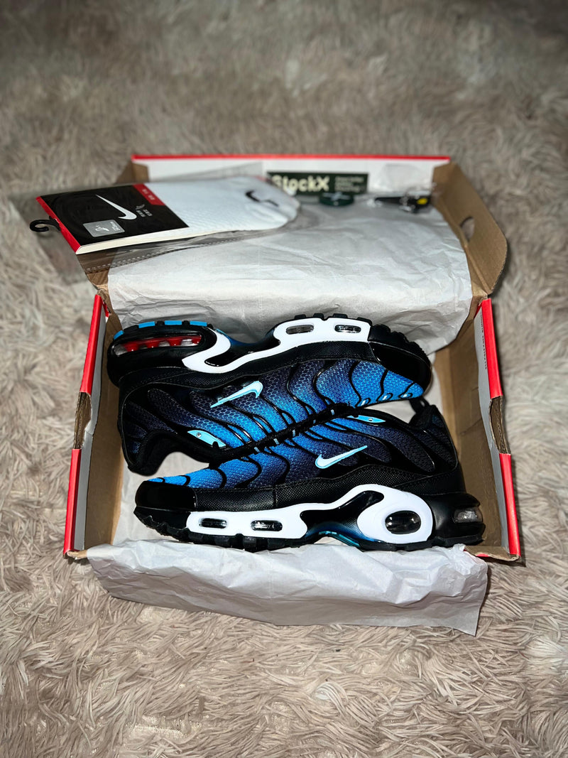 Nike Air Max Plus "Aquarius Black"